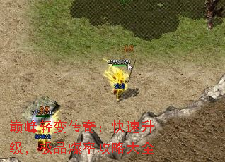 巅峰轻变传奇:快速升级,极品爆率攻略大全 巅峰轻变传奇:快速升级,极品爆率攻略大全