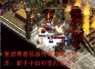 重燃青春私服传奇攻略大公开:新手小白秒变打宝达人 重燃青春私服传奇攻略大公开:新手小白秒变打宝达人