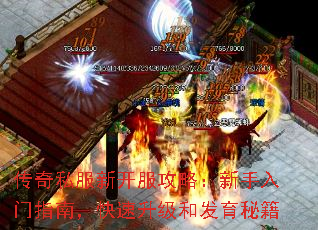 ����˽���¿������ԣ���������ָ�ϣ����������ͷ����ؼ�