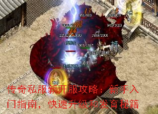 ����˽���¿������ԣ���������ָ�ϣ����������ͷ����ؼ�