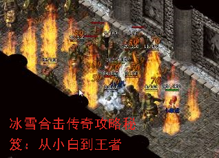 ��ѩ�ϻ����湥�����ţ���С�׵�����