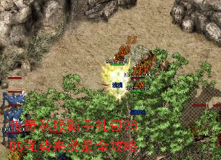 ����˽���������2888ǿ����Ϯ��ȫ����