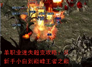 ��ְҵ��ʧ���乥�ԣ�������С�׵��۷�����֮��