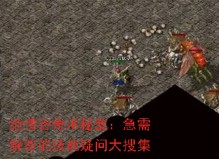 ������������ţ�������ļ������ʴ��Ѽ�