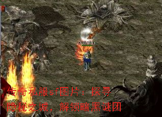 ����˽��sfͼƬ��̽Ѱ����֮�ǣ�������������