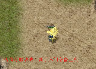 传奇新服攻略:新手入门必备宝典 传奇新服攻略:新手入门必备宝典