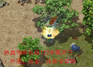 热血传奇私服123争霸天下:升级、装备、技能全攻略 热血传奇私服123争霸天下:升级、装备、技能全攻略