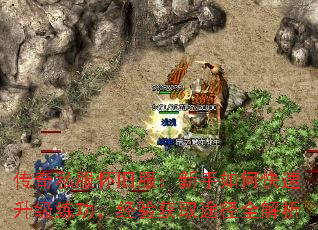 ����˽�����ɷ���������ο������������������ȡ;��ȫ����