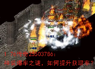 1.76传奇25503786:神装爆率之谜,如何提升获取率? 1.76传奇25503786:神装爆率之谜,如何提升获取率?