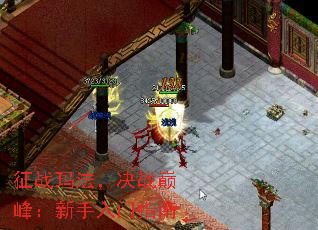 征战玛法,决战巅峰:新手入门指南 征战玛法,决战巅峰:新手入门指南