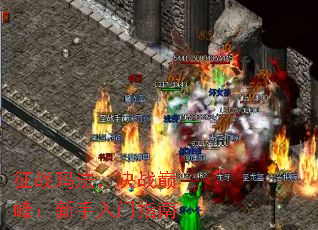 征战玛法,决战巅峰:新手入门指南 征战玛法,决战巅峰:新手入门指南