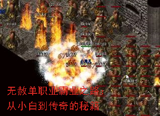 无赦单职业霸业之路:从小白到传奇的秘籍 无赦单职业霸业之路:从小白到传奇的秘籍