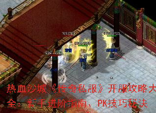 ��Ѫɳ�ǡ�����˽�����������Դ�ȫ�����ֽ���ָ�ϡ�PK�����ؾ�