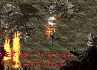 ��봴��棺������С�׵�ɳ�Ϳ˰����Ľ���֮·