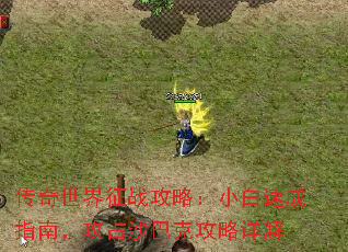 传奇世界征战攻略:小白速成指南,攻占沙巴克攻略详解 传奇世界征战攻略:小白速成指南,攻占沙巴克攻略详解