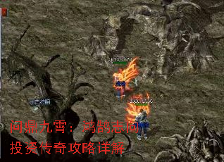 �ʶ�����������־��Ͷ�ʴ��湥�����