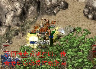 ���㴫�湫���ڼ�����������ұؿ�����ָ��