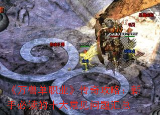 《万兽单职业》传奇攻略:新手必读的十大常见问题汇总 《万兽单职业》传奇攻略:新手必读的十大常见问题汇总