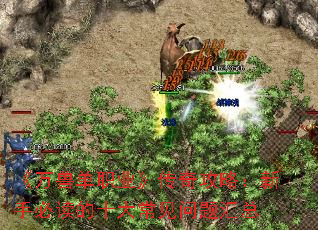 《万兽单职业》传奇攻略:新手必读的十大常见问题汇总 《万兽单职业》传奇攻略:新手必读的十大常见问题汇总