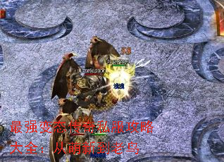 最强变态传奇私服攻略大全:从萌新到老鸟 最强变态传奇私服攻略大全:从萌新到老鸟