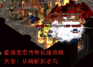 最强变态传奇私服攻略大全:从萌新到老鸟 最强变态传奇私服攻略大全:从萌新到老鸟