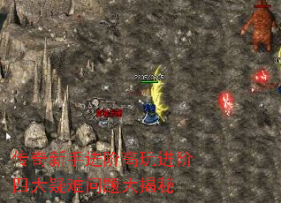 �������ֽ��׸�������Ĵ�������������