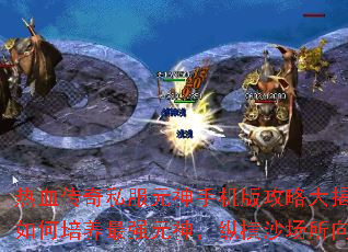 热血传奇私服元神手机版攻略大揭秘:如何培养最强元神,纵横沙场所向披靡 热血传奇私服元神手机版攻略大揭秘:如何培养最强元神,纵横沙场所向披靡