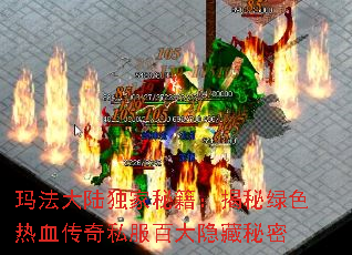 �귨��½�����ؼ���������ɫ��Ѫ����˽���ٴ���������