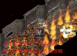 道士叱咤风云,30条狗随行闯荡传奇私服的召唤攻略 道士叱咤风云,30条狗随行闯荡传奇私服的召唤攻略