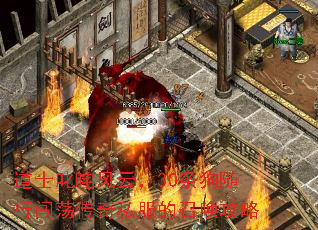 道士叱咤风云,30条狗随行闯荡传奇私服的召唤攻略 道士叱咤风云,30条狗随行闯荡传奇私服的召唤攻略