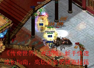 《传奇世界》合击服:新手快速成长指南,高玩必备的独家秘籍 《传奇世界》合击服:新手快速成长指南,高玩必备的独家秘籍