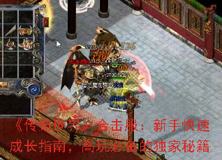 《传奇世界》合击服:新手快速成长指南,高玩必备的独家秘籍 《传奇世界》合击服:新手快速成长指南,高玩必备的独家秘籍