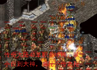 �����½4D��ְҵ���ԣ���С�׵����񣬽��ز���֮��