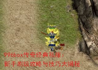 996box传奇经典私服:新手刷级攻略与技巧大揭秘 996box传奇经典私服:新手刷级攻略与技巧大揭秘