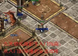 九天劫私服新手入门指南:从入门到精通的全面攻略 九天劫私服新手入门指南:从入门到精通的全面攻略