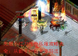 �޵�С�쵶����˽�����Դ�ȫ�������ִ嵽�����귨