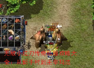 �޵�С�쵶����˽�����Դ�ȫ�������ִ嵽�����귨