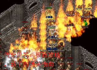 �������磺���¹��ԣ�������ͨ��ָ��