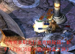 �����浥ְҵ������ؼ����������ŵ������ưԵĲƸ�֮·��