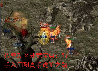传奇新区开荒宝典:新手入门到高手进阶之路 传奇新区开荒宝典:新手入门到高手进阶之路