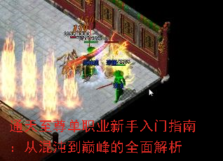 ͨ������ְҵ��������ָ�ϣ��ӻ��絽�۷��ȫ�����