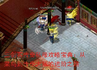 �����ʹ���˽�����Ա��䣺�Ӳ��񵽴����ʦ�Ľ���֮·