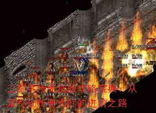 �����ʹ���˽�����Ա��䣺�Ӳ��񵽴����ʦ�Ľ���֮·