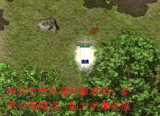 �ڲ⴫��˽���������ԣ����ִ���ŵ㣬����ǰ�ڷ�չ