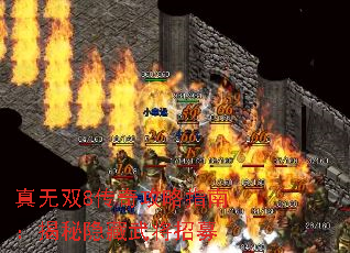 真无双8传奇攻略指南:揭秘隐藏武将招募 真无双8传奇攻略指南:揭秘隐藏武将招募