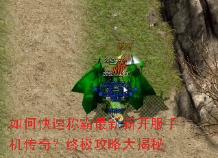 ��ο��ٳư������¿����ֻ����棿�ռ����Դ����