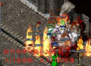 ��´���˽��1.76��������ȫ���ԣ������ŵ���ͨ