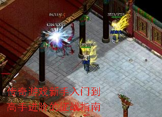 传奇游戏新手入门到高手进阶的征战指南 传奇游戏新手入门到高手进阶的征战指南