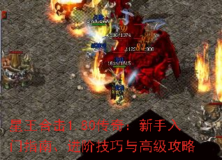 �����ϻ�1.80���棺��������ָ�ϡ����׼�����߼�����