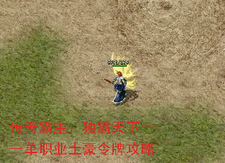 传奇霸主:独霸天下——单职业土豪令牌攻略 传奇霸主:独霸天下——单职业土豪令牌攻略